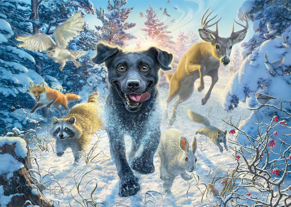 Puzzle PQ 1000 Mark Fredrickson Labrador na śniegu