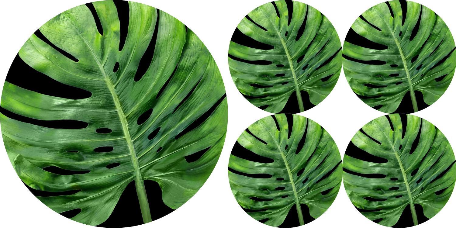 Bertoni-arco Zestaw podkładek na stół okrągłych 1+4 - GALAPAGOS NIGHT