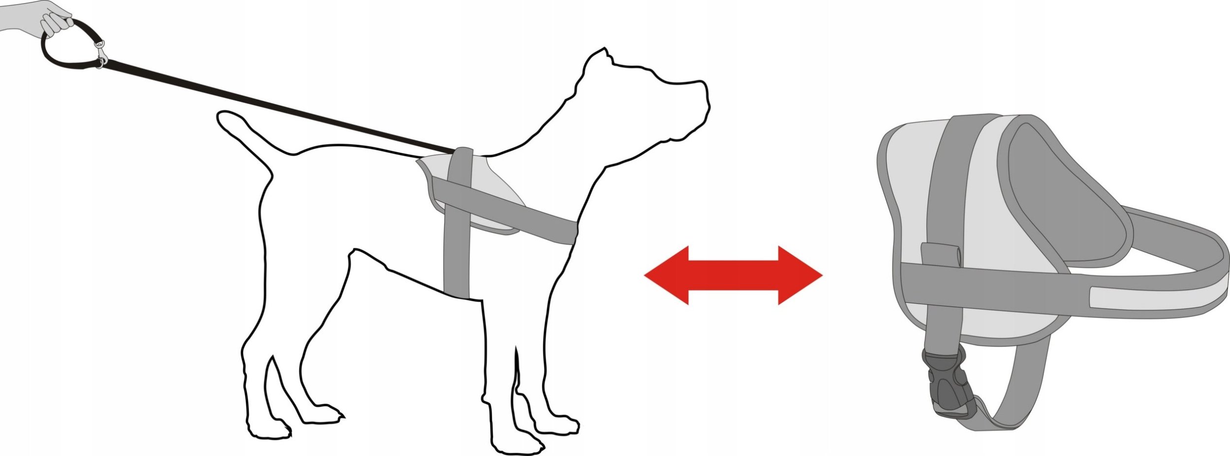 Hobbydog R5 SZELKI JULLETTA POPIEL