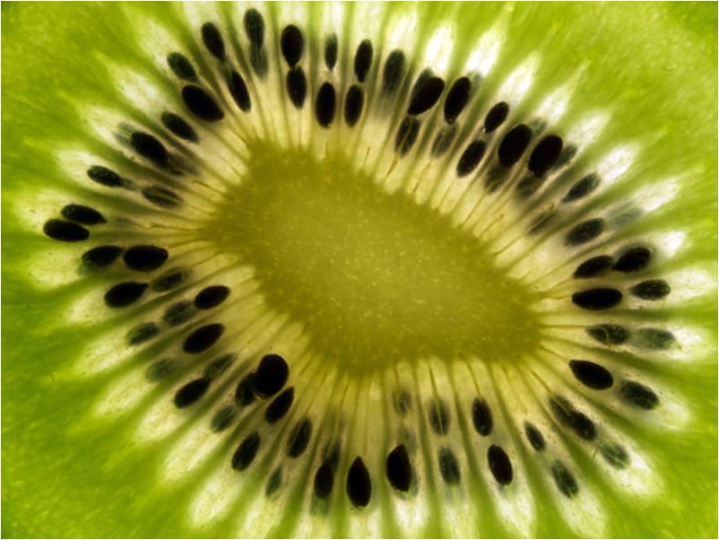 DecoNest Fototapeta - owoce: kiwi - 400X309