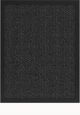 Tesla Smart Air Purifier Pro M Carbon Filter