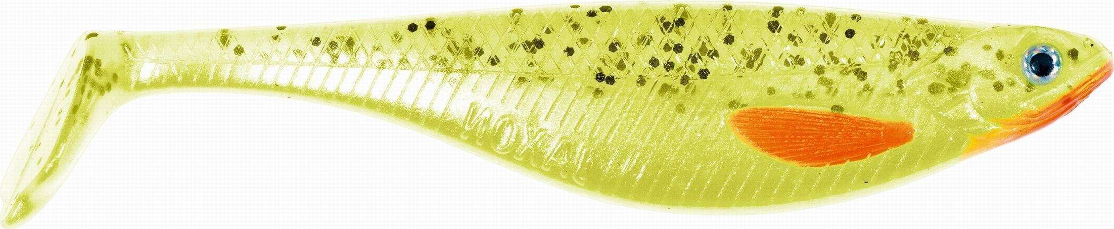 Jaxon Guma, kopyto Jaxon Intensa Hegemon