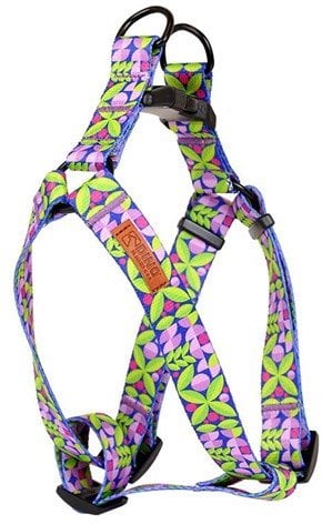 Dino DINO SZELKI TAŚMA REG. IVO 25mm LIŚĆ dł. 60-90cm