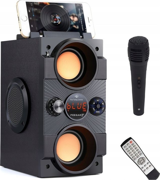 Głośnik Feegar Dance czarny z mikrofonem