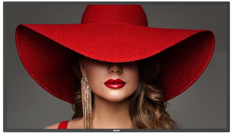 Monitor Videowall Philips D-LINE 50" LCD