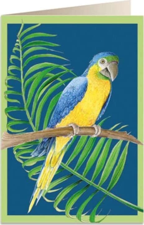 Tassotti Karnet B6 + koperta 6050 Papuga