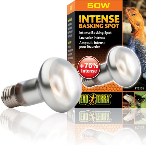 Hagen EXOTERRA ŻARÓWKA INTENSE SPOT 50W