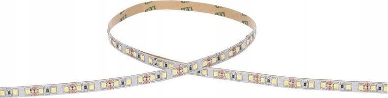 Taśma LED Prescot Prescot PR024-100-10-RGB+WW taśma LED biała