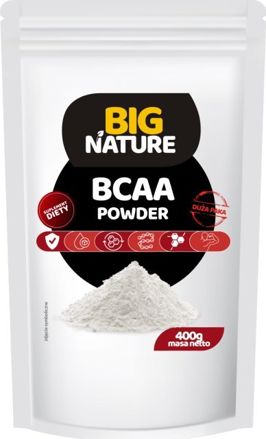 Big Nature Bcaa 2:1:1 Aminokwasy 400G Suplement Diety - Big Nature