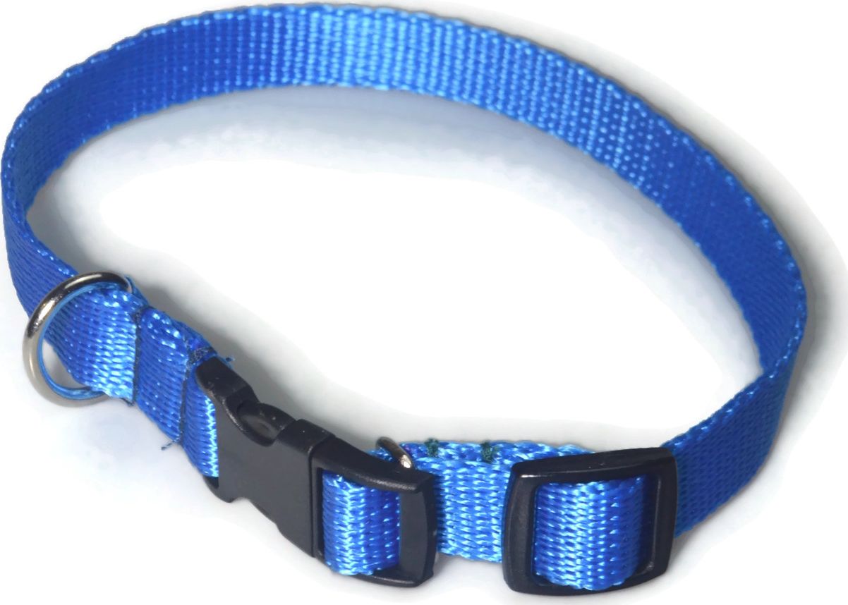 Alizoo Obroża dla średniego psa 16mm/24-42cm - ALIZOO