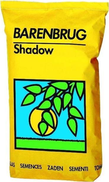 Barenbrug Trawa Barenbrug Reprezentacyjna na Cień i Słońce Shadow Sun 15kg