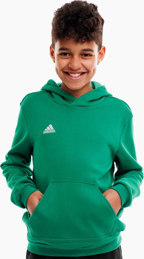Bluza dla dzieci adidas Entrada 22 Hoody zielona HI2143 176cm