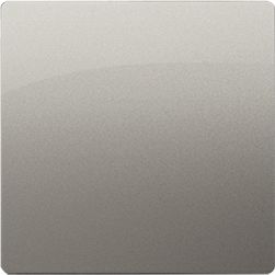 Kontakt-Simon Basic Zaślepka do ramek satynowa (BMP/29)