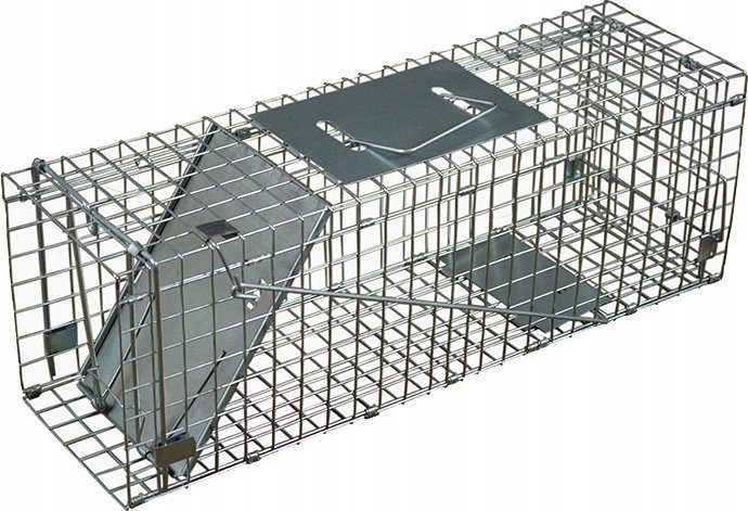 Korbi ŻYWOŁAPKA PUŁAPKA SZCZURY KUNY ŁASKI ŁASICE DUŻA