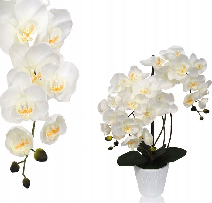 Toner Zamiennik listwa czyszczÄca bÄben Ricoh IM350/IM430F/P501/P502