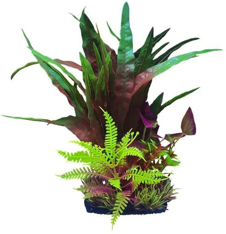Aqua Natura, ro�lina, do dekoracji akwarium, bordowo-fioletowo-zielony, plastikowa, 28 cm , mix ro�lin