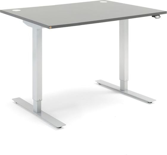 Biurko ECOabc Flexus Szare 120 cm x 80 cm