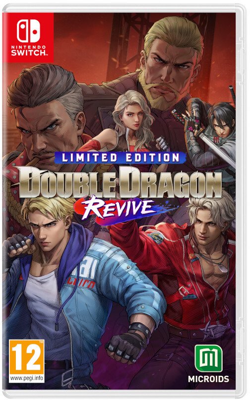 Double Dragon Revive Limited Edition (NS)