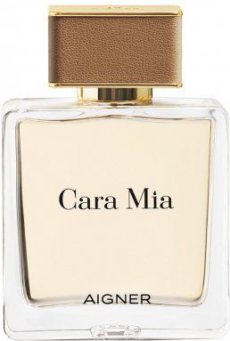 Aigner Parfums EDP 100 ml