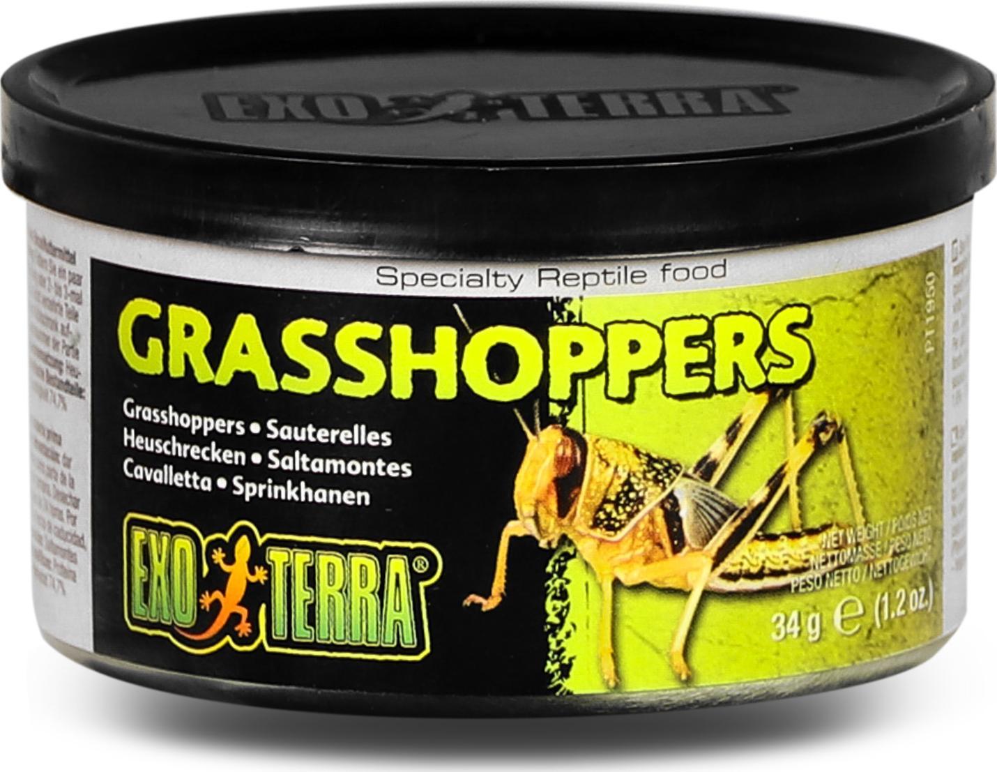 Exo Terra Pokarm w puszce - konik polny, 34g