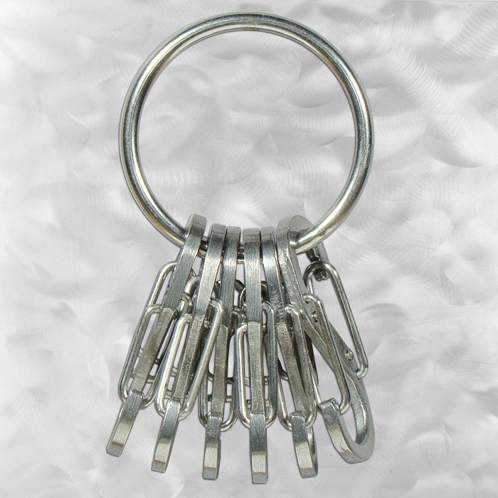 Breloczek Nite Ize KeyRing+ 6 x micro karabińczyk ze stali nierdzewnej (KRGS-11-R3)