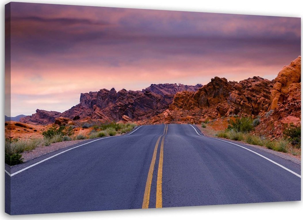 Feeby Obraz na płótnie, Droga na pustkowiu - 100x70