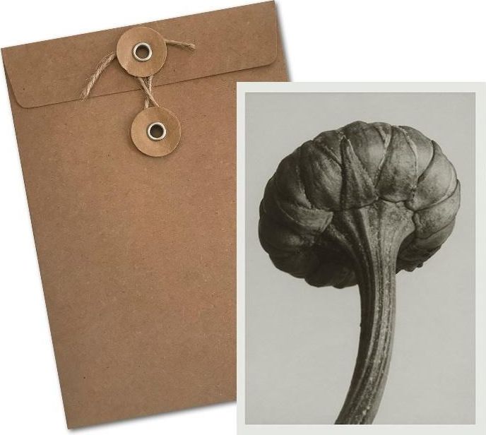 Skona Ting Karnet BF5-103 Jastrun właściwy