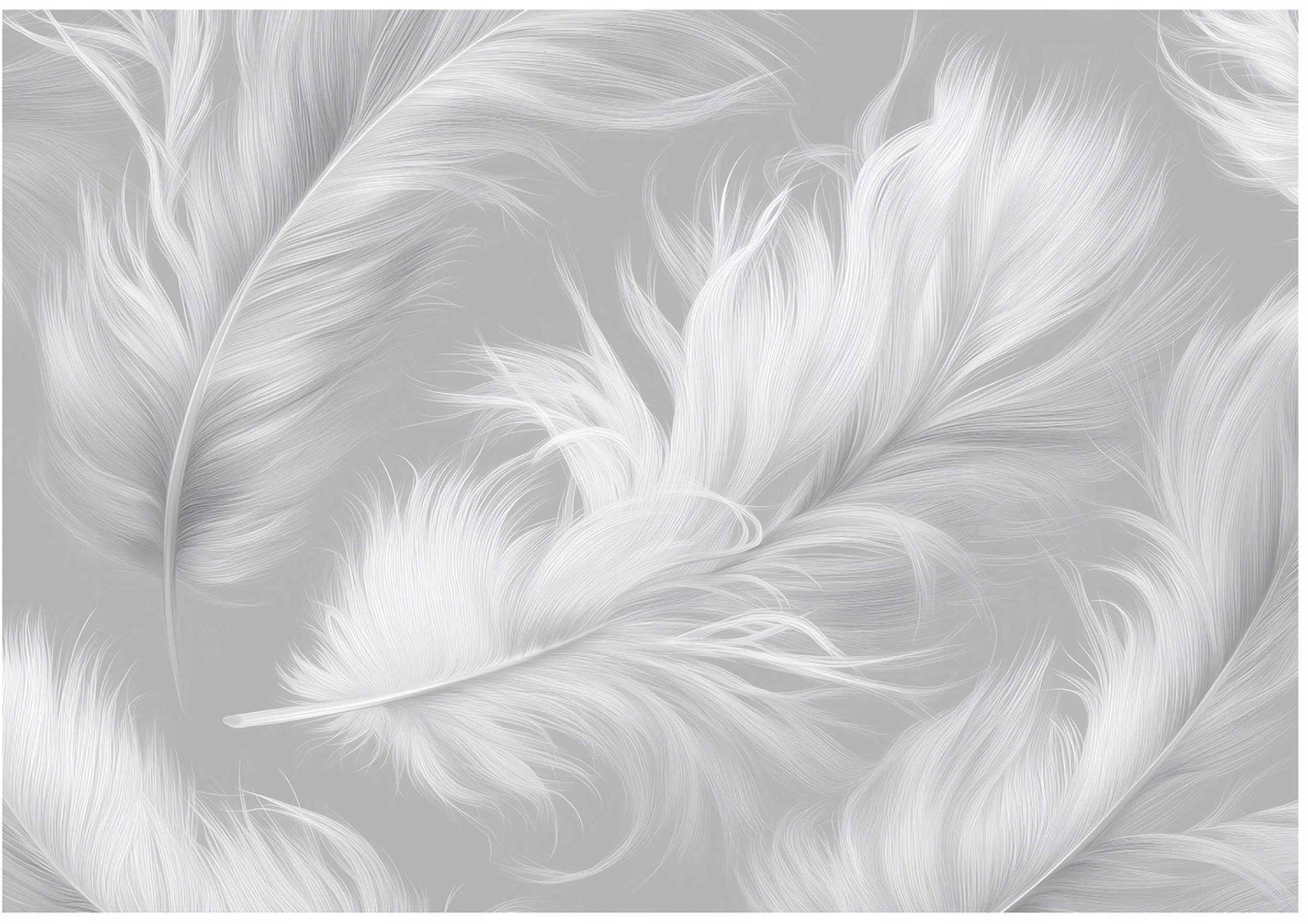 Fototapeta Na Flizelinie Pióra Abstrakcja Do Sypialni Salonu 350x250