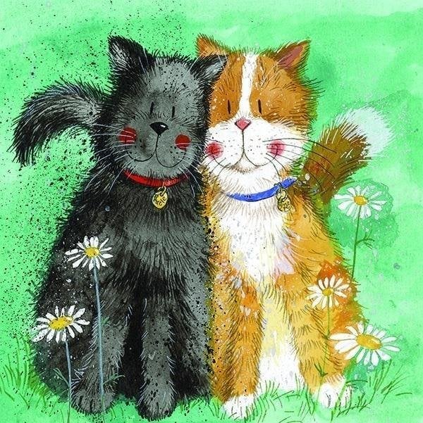 Karnet AC671 Koty Toffee i Treacle