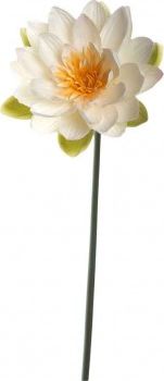 Leonardo Kwiat lilia wodna 75 Fiore