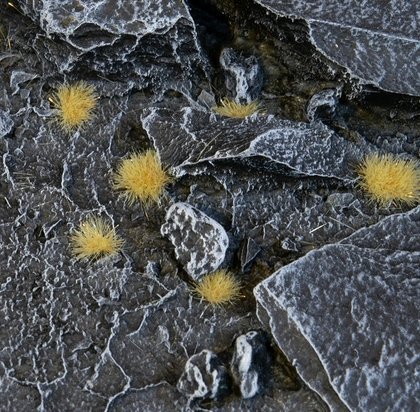 Gamers Grass Gamers Grass: Special tufts - 2 mm - Beige (Tiny)