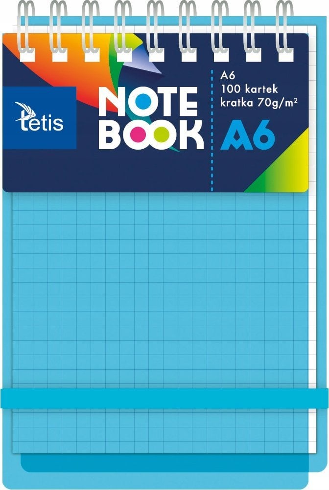 Teka Kołonotatnik A6/100K kratka PP niebieski