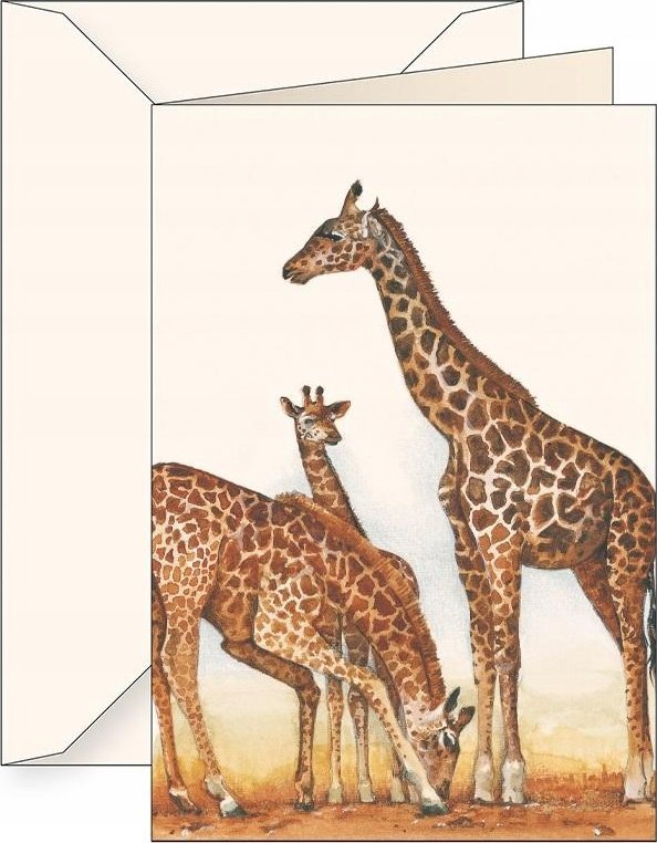 Teka Karnet B6 + koperta 7503 Żyrafy