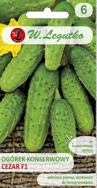 Legutko Nasiona Ogórek gruntowy konserwowy Cezar F1, 5g