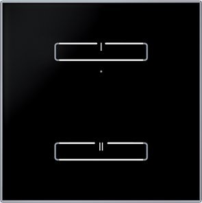 ELKO EP SZKLANY 2-kanałowy bezprzewodowy łącznik iNELS RFCONTROL - RFGB-20/B BLACK SHARP