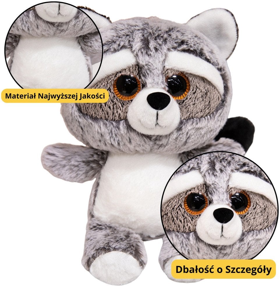 Pluszowa Maskotka Przytulanka Szop Duże Oczy 22cm