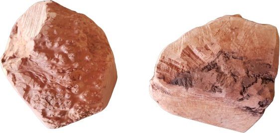 4DOGS 4DOGS GRYZAK XXL z korzenia wrzośca