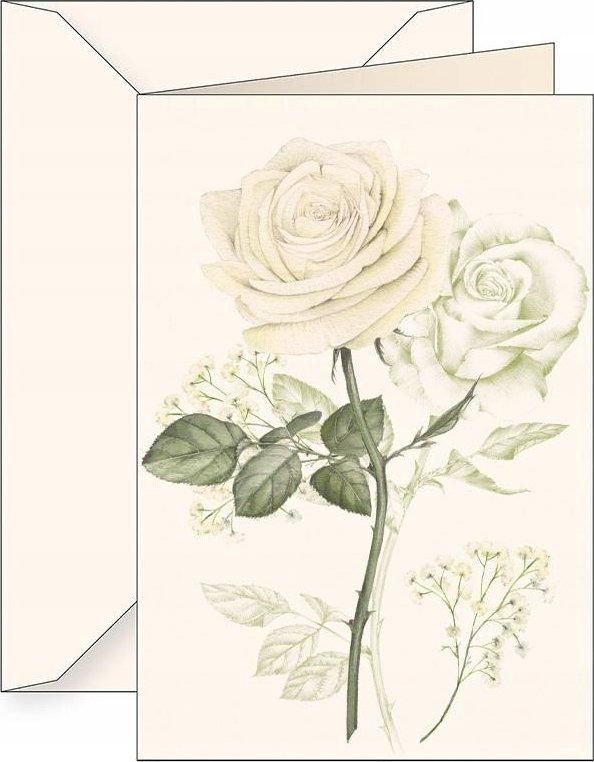 Tassotti Karnet B6 + koperta 6164 Biała róża