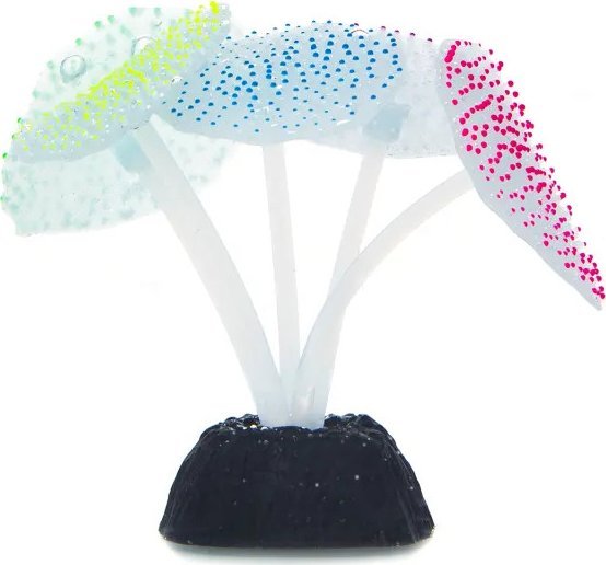 Nobleza Odblaskowe rośliny wodne Odblaskowe rośliny wodne