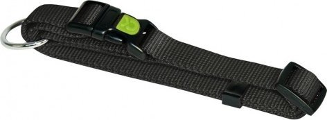 Kerbl Obroża Miami, 20 - 35 cm x 10 mm