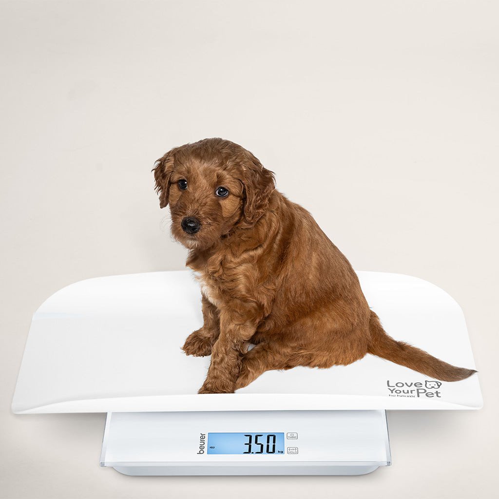 Beurer waga dla zwierząt i ludzi biały PP 170