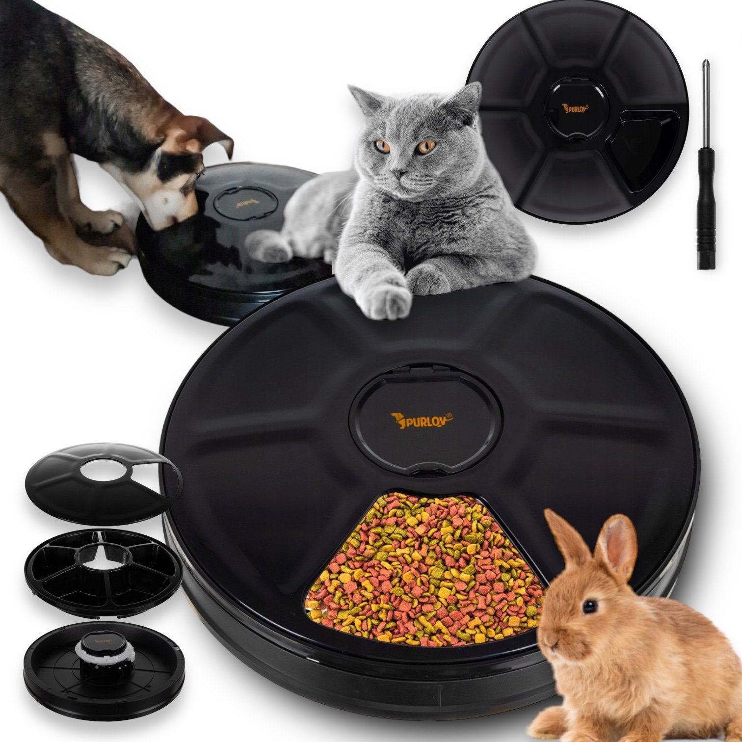 Automatyczny dozownik karmy