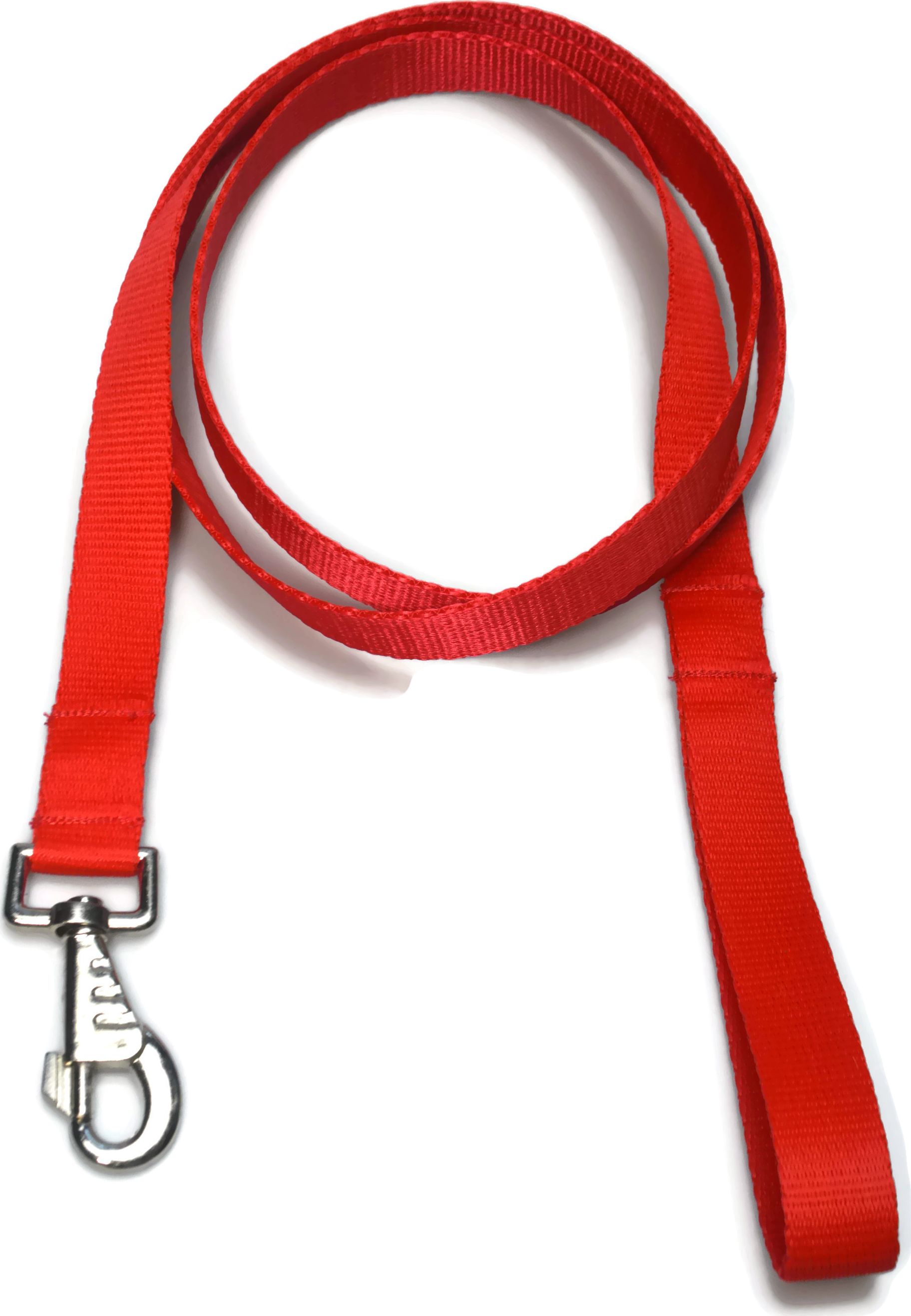 Alizoo Smycz dla dużych psów 30mm/180cm - ALIZOO