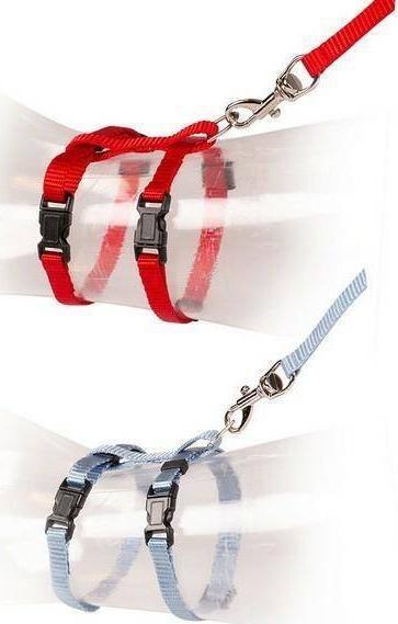 Duvo+ DUVO+ Szelki dla kociąt czerwone/niebieskie 15-25cm / 8mm-125cm