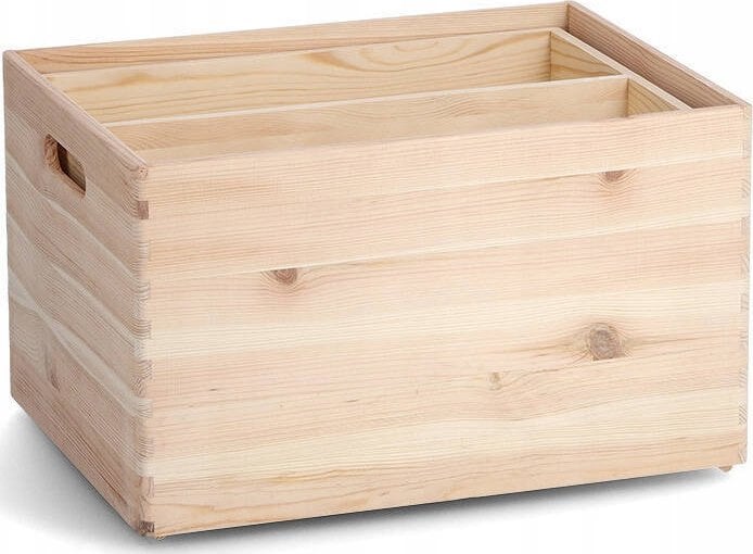 Zeller Pudełko do przechowywania z wyjmowanymi przegródkami, 40 x 30 x 24 cm