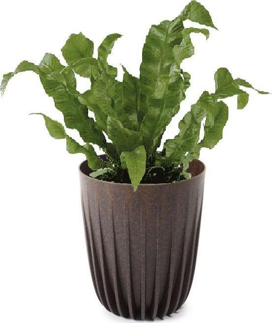 Lamela Doniczka plastikowa z wkładem brązowa 14,5 cm Mira Eko