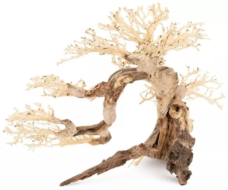 Tonące drzewo Bonsai nr 63 75x45