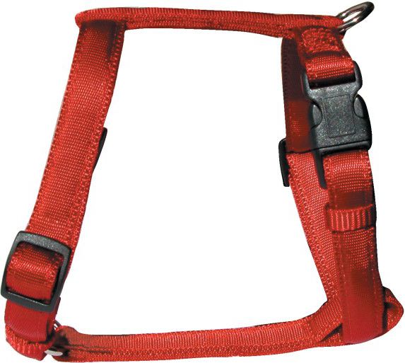 Zolux Cushion szelki taśma 20mm - kol. czerwony