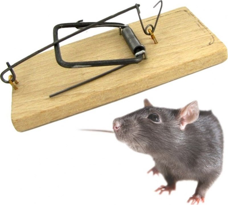 PrzydaSie Pułapka Łapka Na Myszy Tradycyjna Silna Drewniana