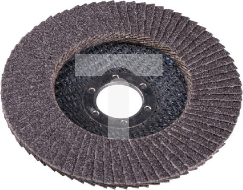 EXPERT ŚCIERNICA LISTKOWA TALERZOWA 125 GR. 100 FLAT [EXPERT] - 10sz